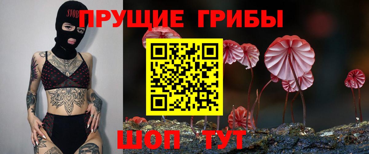 Галлюциногенные грибы прущие грибы Бахчисарай